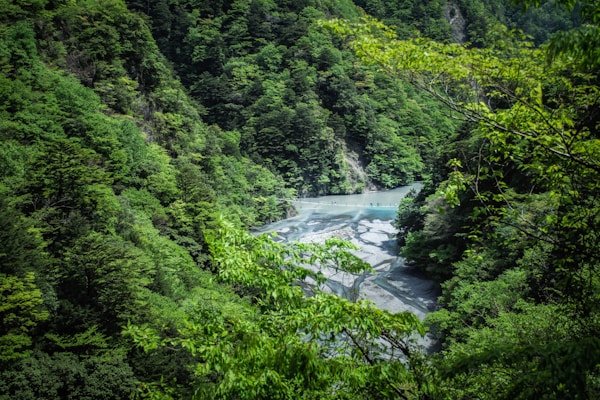 绿源环保公益短剧《地球守护者》 绿源环保公益短剧《地球守护者》 - 魔改短剧客户案例展示